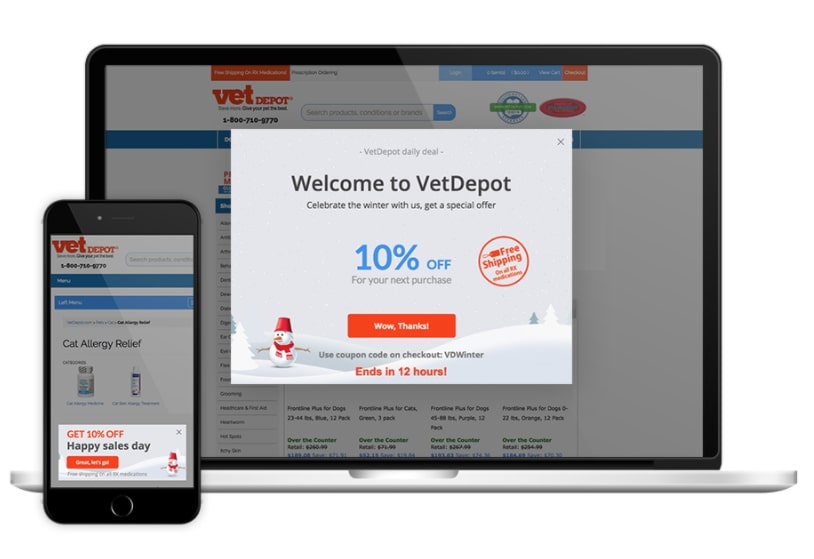 VetDepot Case Study