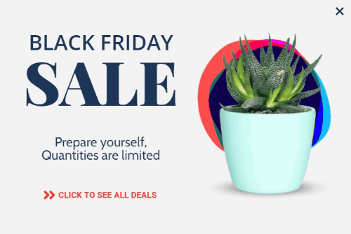 popup template with cactus
