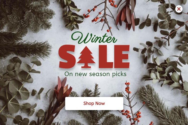 Winter sales popup template