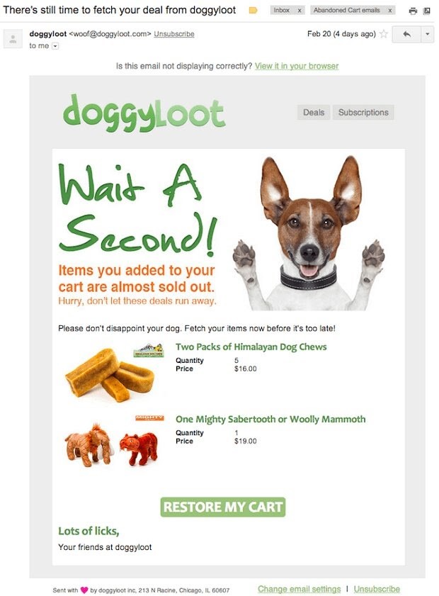 Doggyloot email for abandoned cart