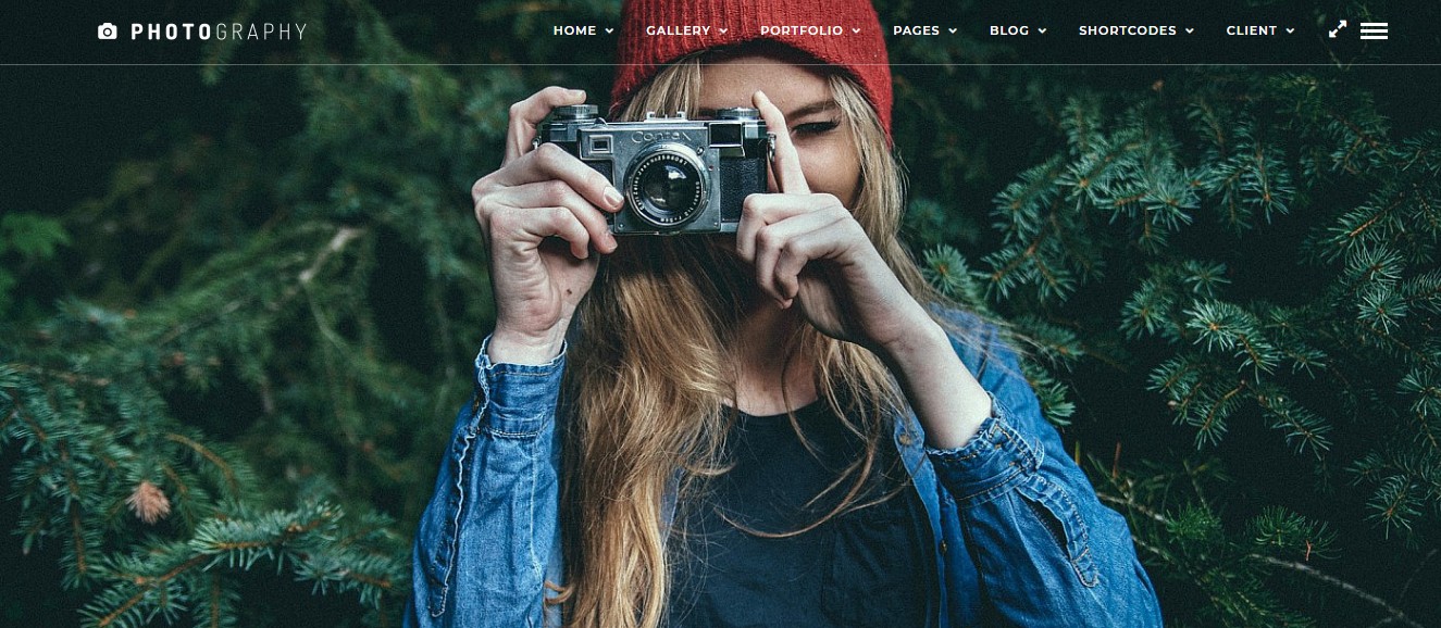 best wordpress themes for small businesses