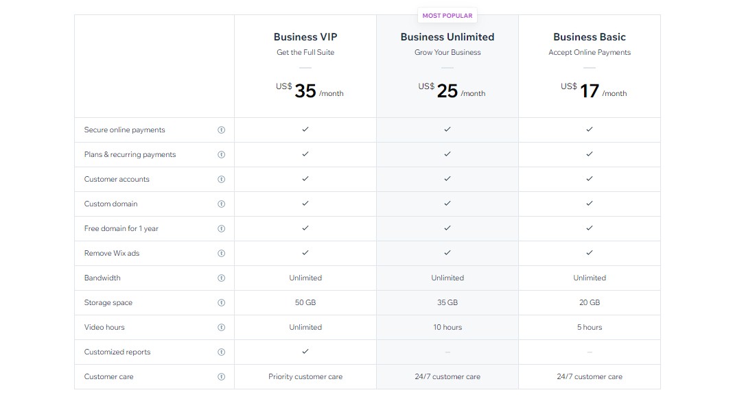 Wix Pricing 