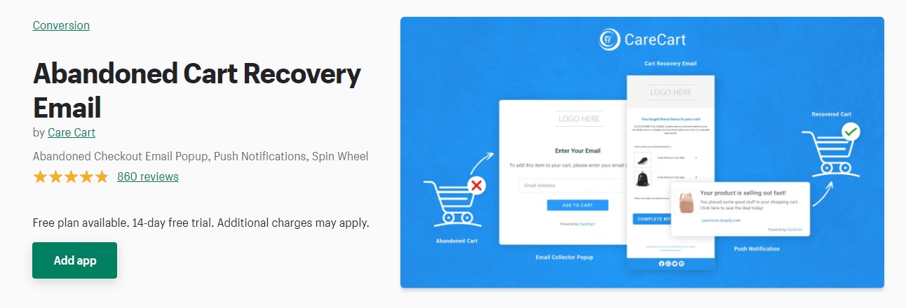 Abandoned cart recovery email