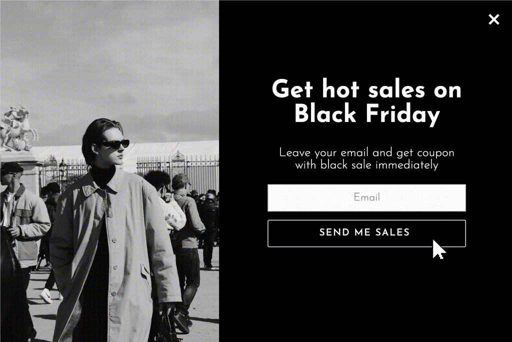 Black Friday Discount Popup