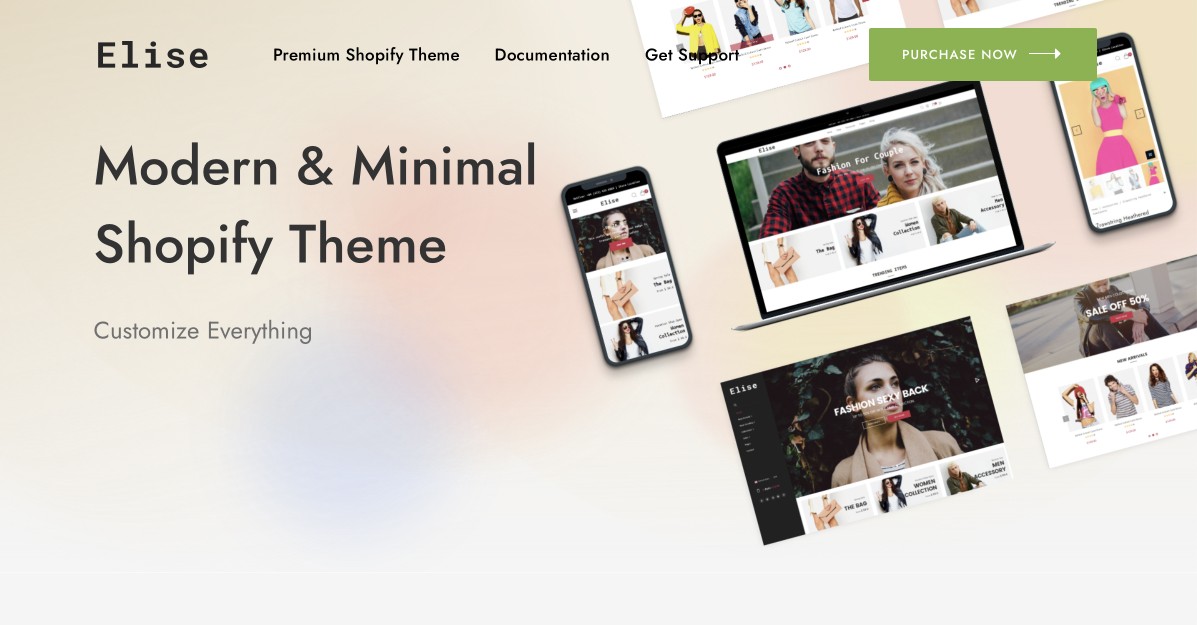 Shopify theme